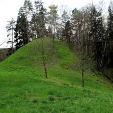 Žarijos 1st hillfort