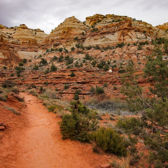 Lower Calf Creek Falls Trail