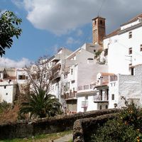 Salares