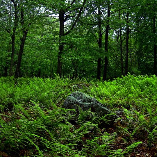 Promised Land State Park