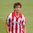 Fernando Llorente