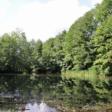 Zeisigwald