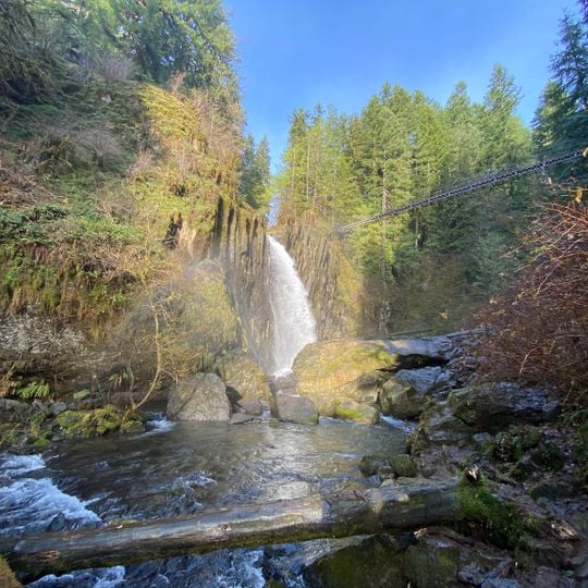 Drift Creek Falls