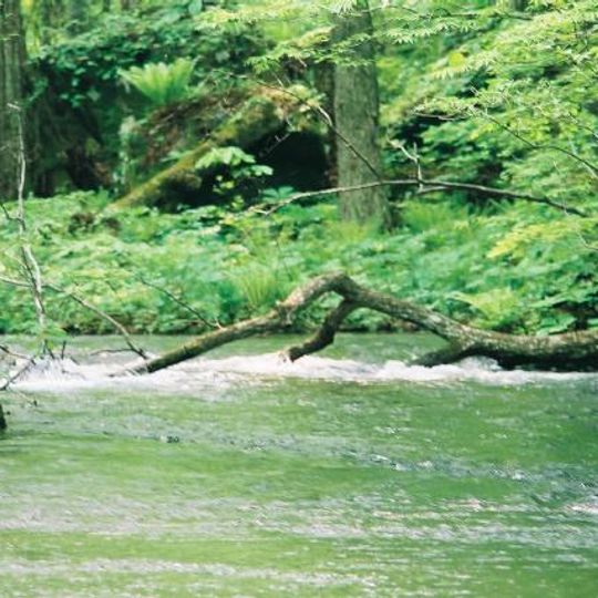Oirase River