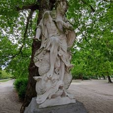 Narcissus
