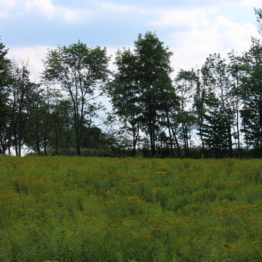 Northmoreland Township