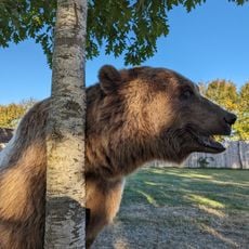 Parc Animalier de Pradinas