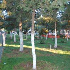 Siverek Höyüğü