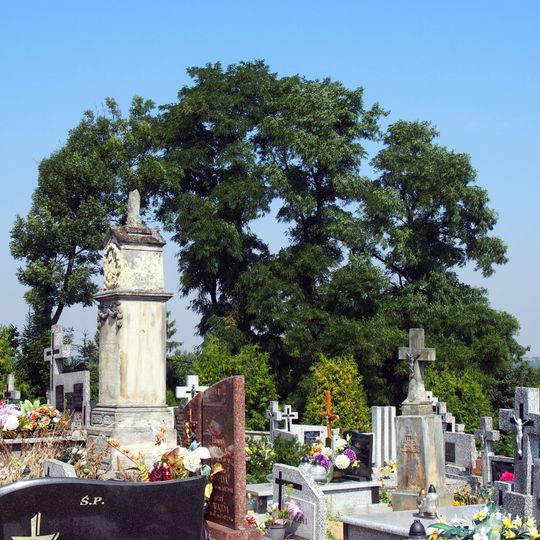 Parish cemetery in Sulisławice