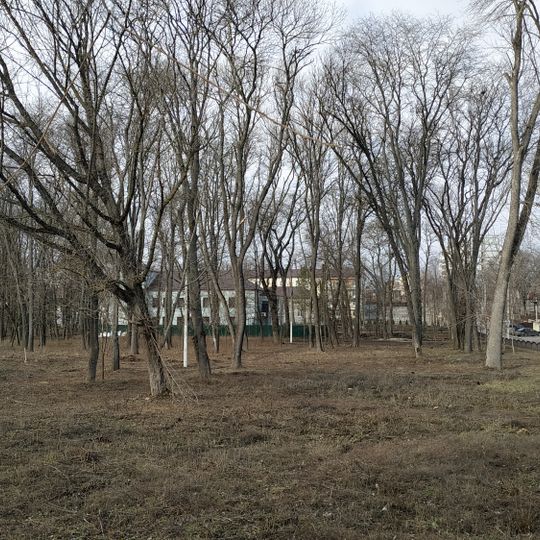 Сountry estate complex with park, fountain and houses of salesmen