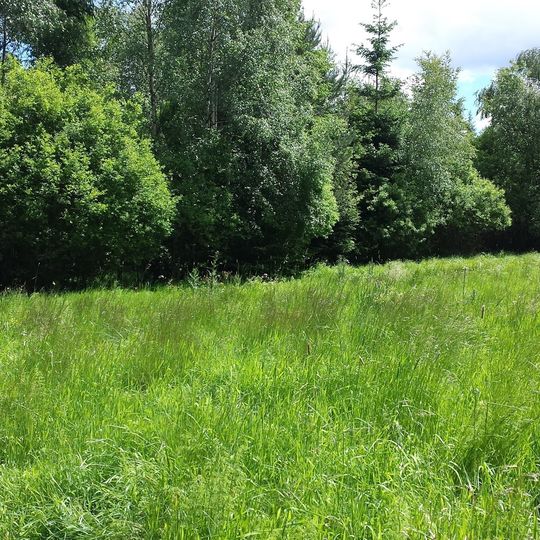 Rašeliniště u Martinala