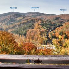 Platforma widokowa pod Kocim Grzbietem