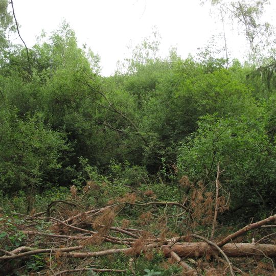 Rašeliniště u Polínek