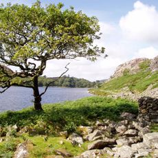 Llyn Cwm Bychan