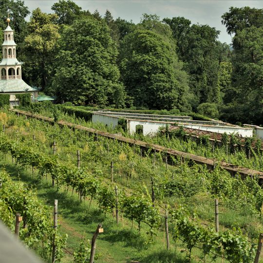 Weinberg am Klausberg