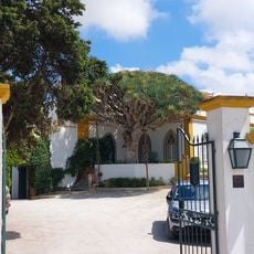 Árvore isolada em Casa do Castelo