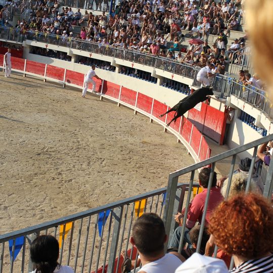 Plaza de toros de Grau du Roi