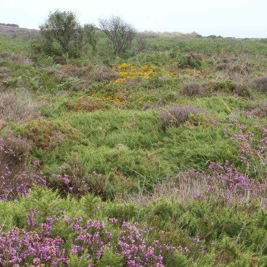 Dunwich Heath