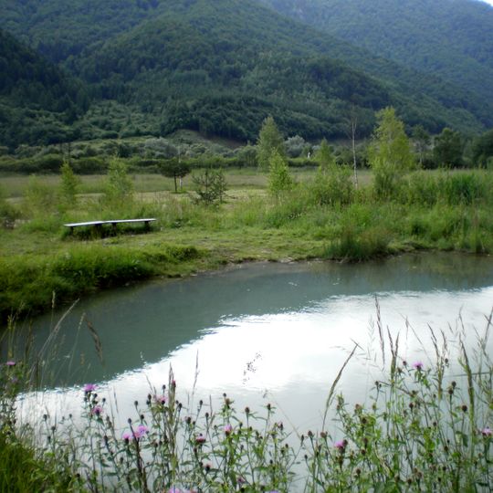 Močiar