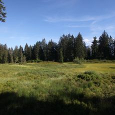 Réserve naturelle régionale de la tourbière des Saisies - Beaufortain - Val d'Arly