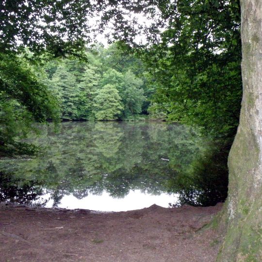 Vogelschutzgebiet Königsforst