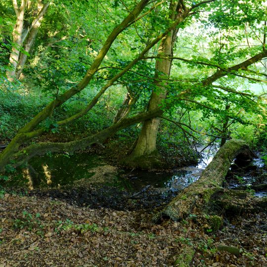 NSG Stinderbachtal <A>