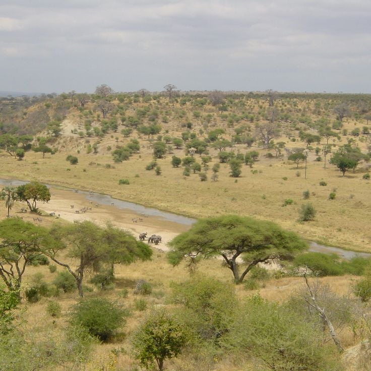 Parque Nacional Tarangire