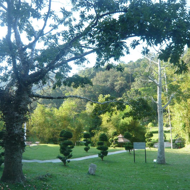 Orto Botanico di Penang