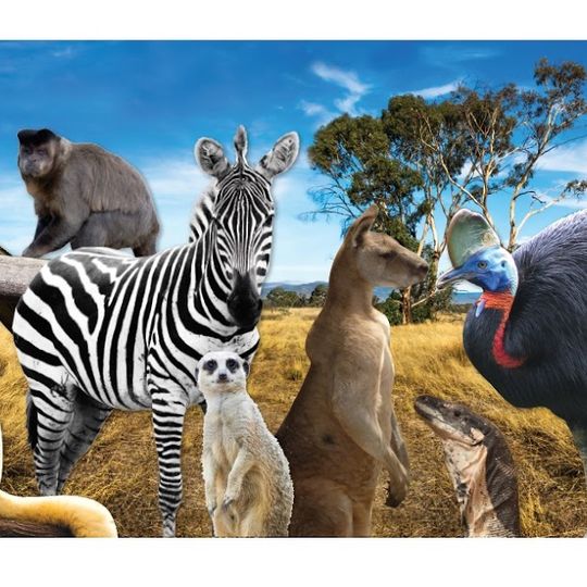 Zoodoo Wildlife Park