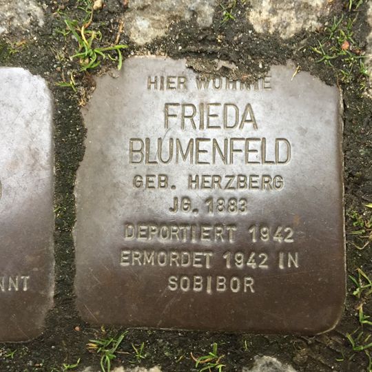Stolperstein à la mémoire de Frieda Blumenfeld