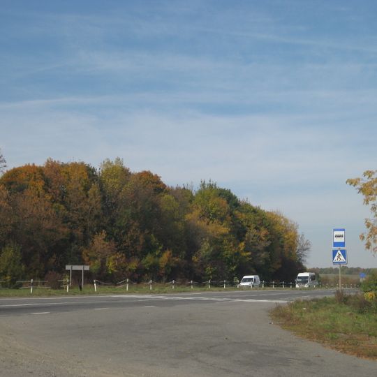 Lisohryvnivskyi Forestry Preserve