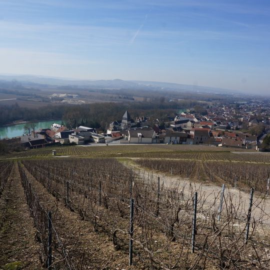 Coteaux de Mareuil-sur-Aÿ
