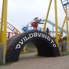 Vild-Svinet