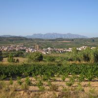 Sant Pere de Riudebitlles