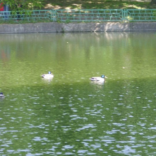 Upper Kolomensky Pond