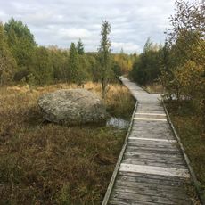 Šauklių riedulynas-kadagynas