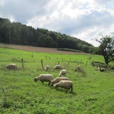 Wisch- und Wogbachtal