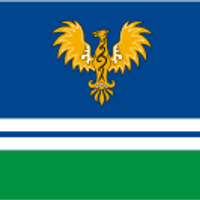 Raión de Mala Vyska