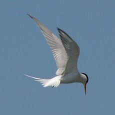 Naree Budjong Djara National Park