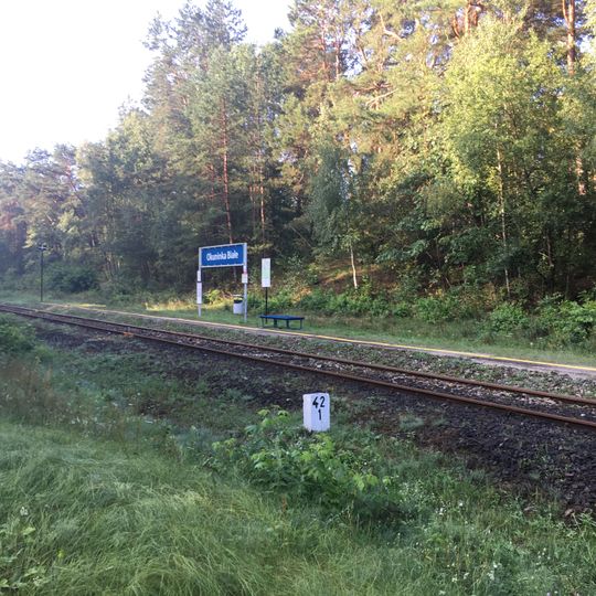 Okuninka Białe train stop