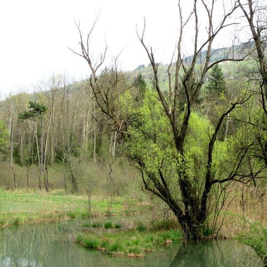 Riserva naturale Vincheto di Celarda