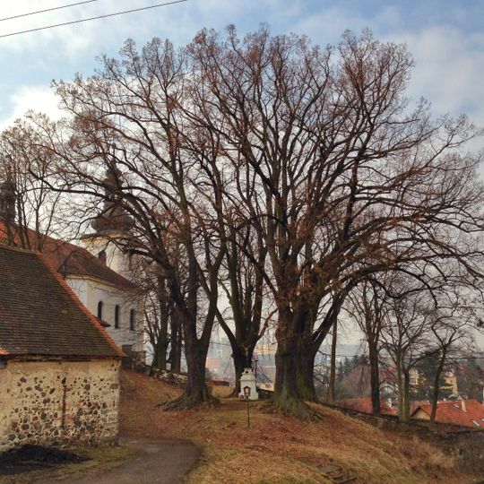 Lípy ve Skoroticích