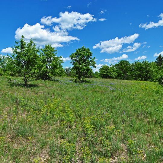 Canoe Landing Prairie State Natural Area