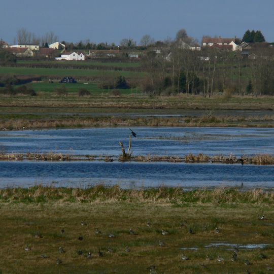 West Sedgemoor RSPB reserve