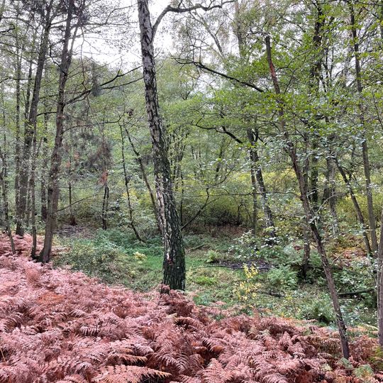 Naturpark Rundwanderweg 13