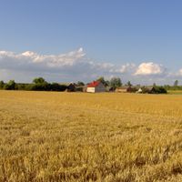 distretto di Sępólno