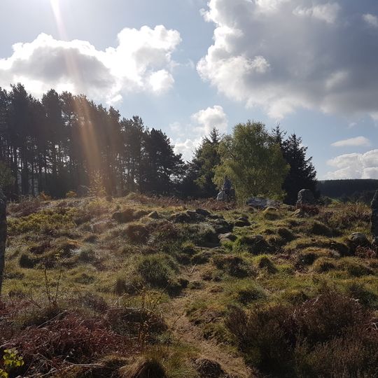Clune Wood,cairn 900m SE of Woodlands School