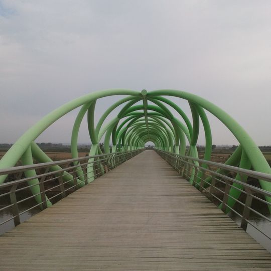 Pasarela del Bicentenario