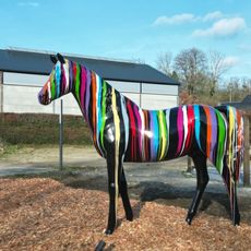 Veterinary Equins De Septon