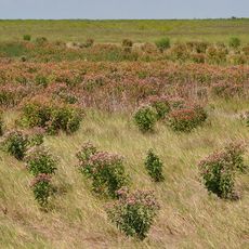 Brazoria National Wildlife Refuge